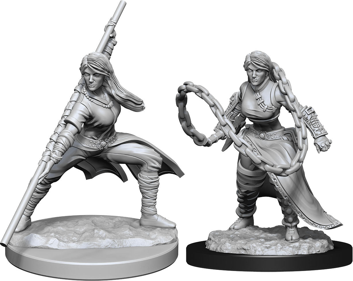 Dungeons & Dragons Nolzur`s Marvelous Unpainted Miniatures: W14 Human Monk