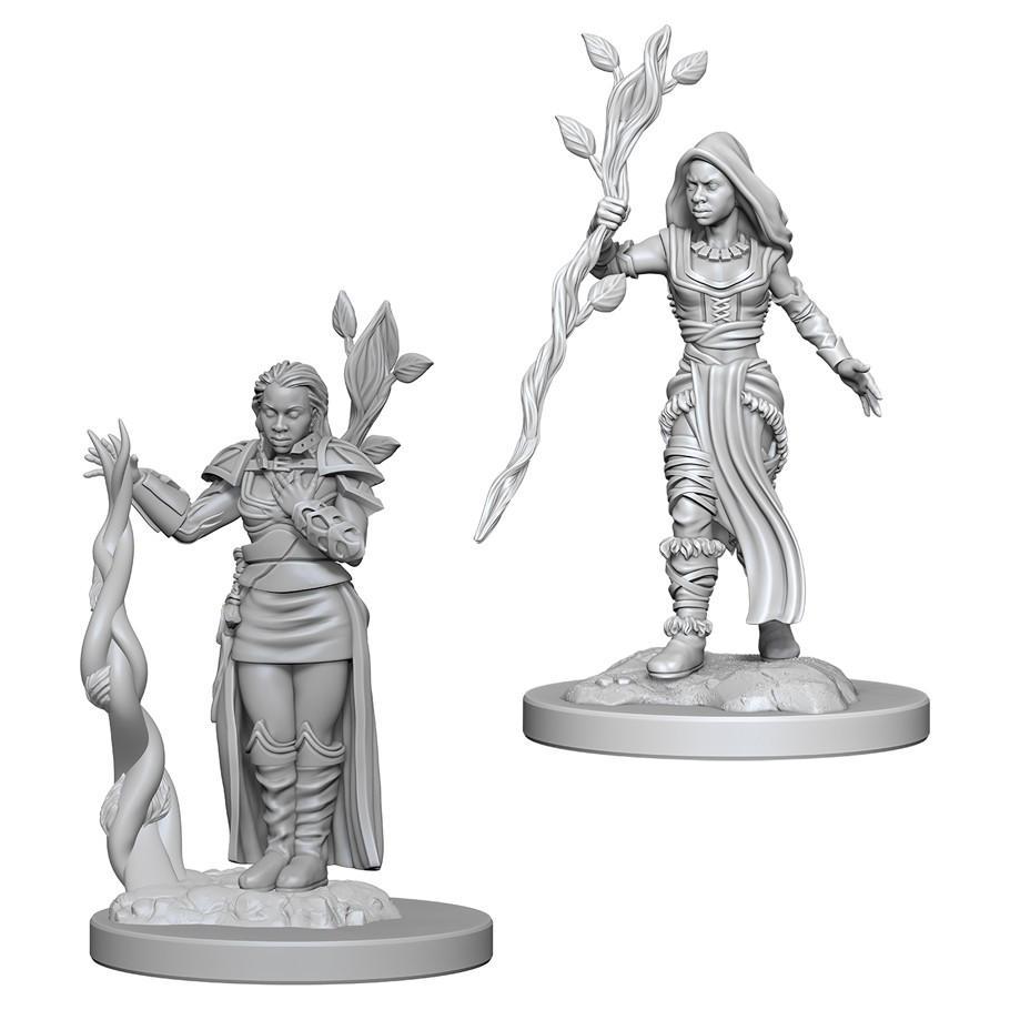 Dungeons & Dragons Nolzur`s Marvelous Unpainted Miniatures: W2 Human Female Druid