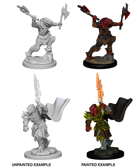 Dungeons & Dragons Nolzur`s Marvelous Unpainted Miniatures: W4 Dragonborn Female Fighter