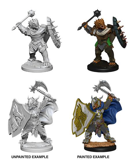 Dungeons & Dragons Nolzur`s Marvelous Unpainted Miniatures: W4 Dragonborn Male Paladin