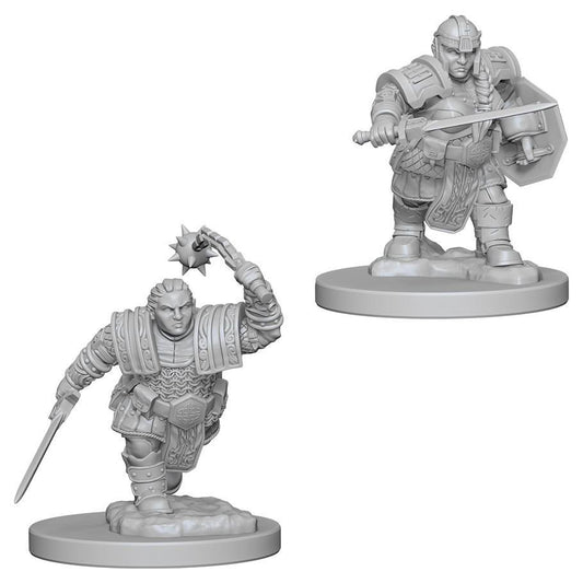 Dungeons & Dragons Nolzur`s Marvelous Unpainted Miniatures: W2 Dwarf Female Fighter