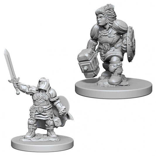 Dungeons & Dragons Nolzur`s Marvelous Unpainted Miniatures: W3 Dwarf Female Paladin