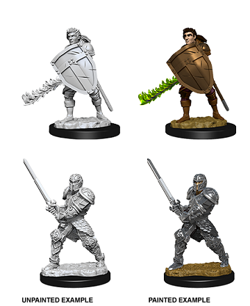 Dungeons & Dragons Nolzur`s Marvelous Unpainted Miniatures: W8 Male Human Fighter