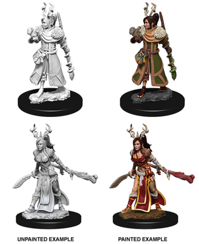 Dungeons & Dragons Nolzur`s Marvelous Unpainted Miniatures: W9 Female Human Druid