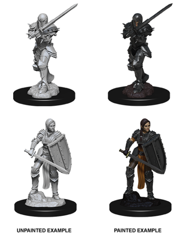 Dungeons & Dragons Nolzur`s Marvelous Unpainted Miniatures: W9 Female Human Fighter