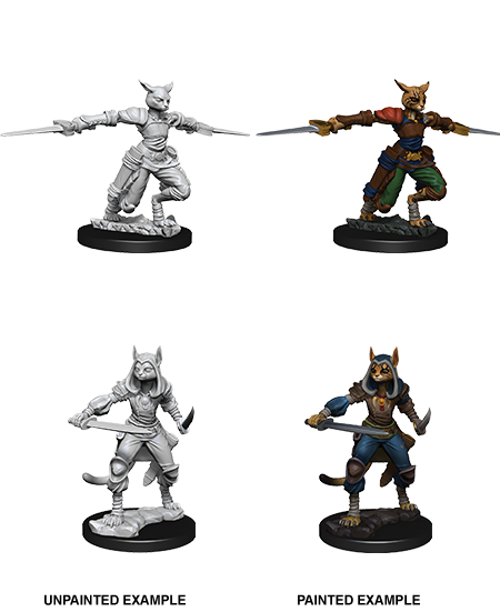 Dungeons & Dragons Nolzur`s Marvelous Unpainted Miniatures: W9 Female Tabaxi Rogue