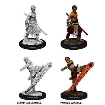 Dungeons & Dragons Nolzur`s Marvelous Unpainted Miniatures: W10 Male Half-Elf Monk