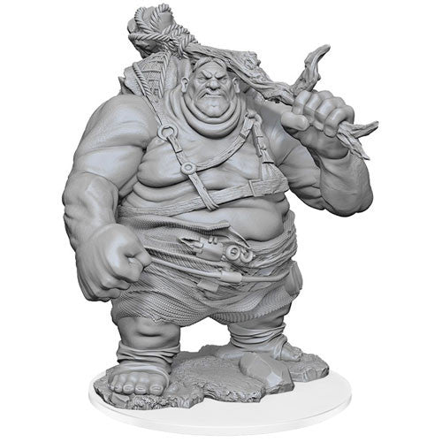 Dungeons & Dragons Nolzur`s Marvelous Unpainted Miniatures: W17 Hill Giant