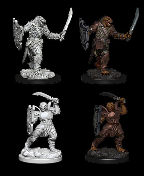 Dungeons & Dragons Nolzur`s Marvelous Unpainted Miniatures: W5 Dragonborn Female Paladin